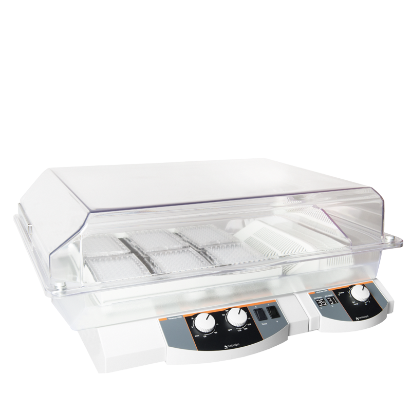 Hei-SHAKE Incubator 1000