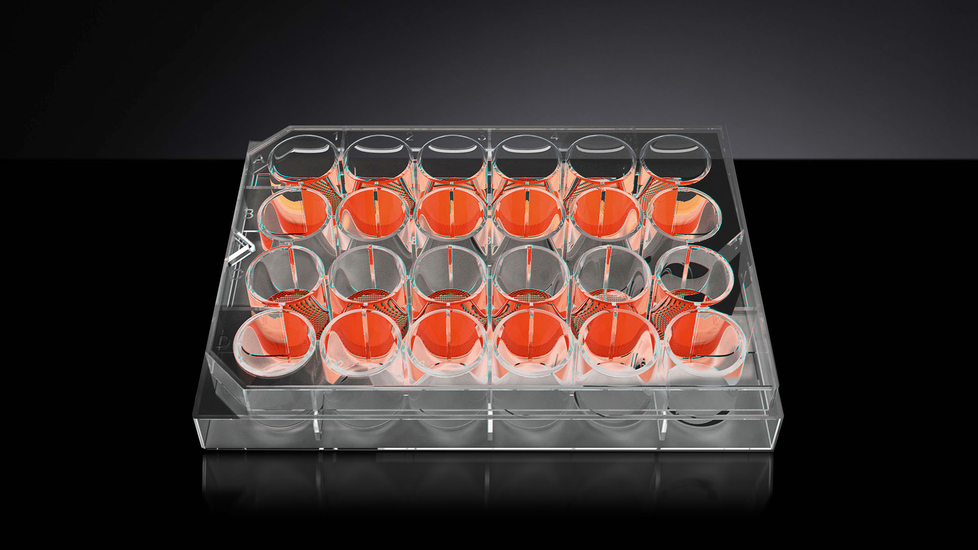 3D cell culture plates